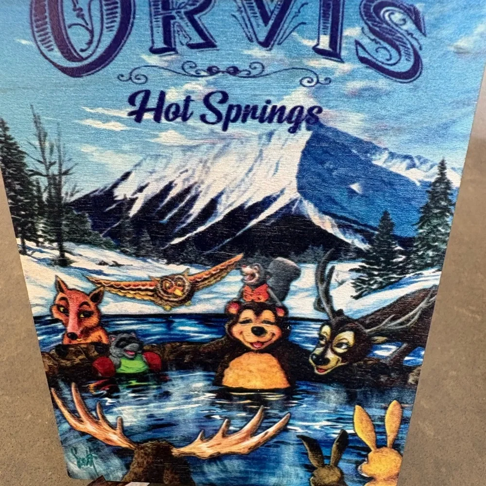 Orvis Hot Springs Ridgeway Colorado Wooden Mailable Postcard Unique Souvenir